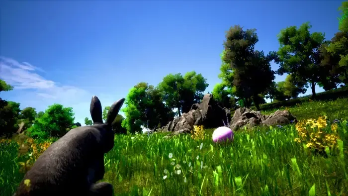 Bunny